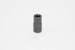 E10 3/8" Drive Female Torx Socket